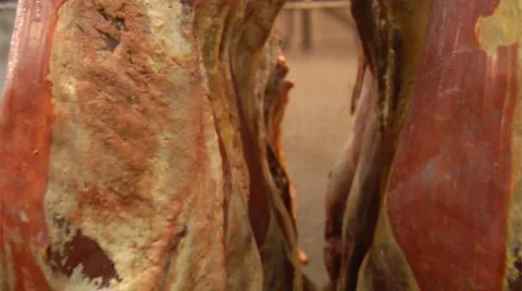 Raw meat Stock Footage 920889