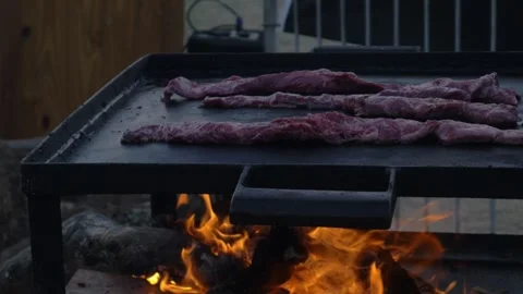 Raw meat Stock Footage 291558862