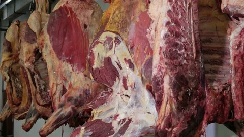 Raw meat getting ready for delivery to stores. Stock Footage 144112317