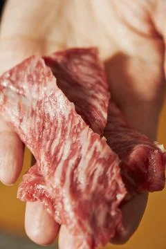 Raw meat in the hands of the chef Stock Photos