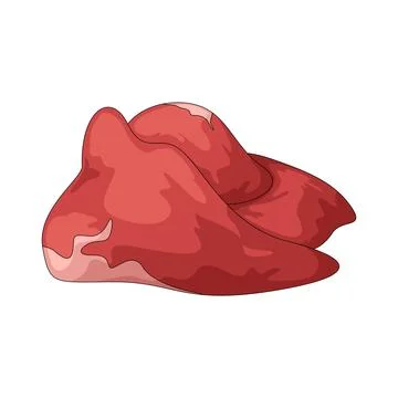 Raw meat illustration Stock Illustration