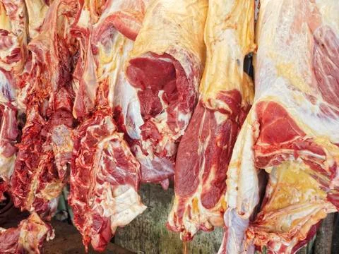 Raw meat Stock Photos