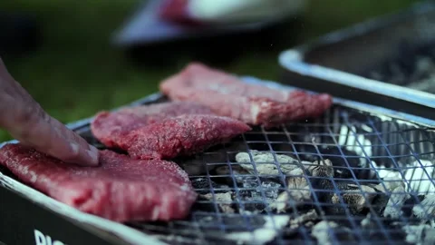 Raw Meat Placed on Disposable Grill for Outdoor Barbecue Stock Footage 304858539