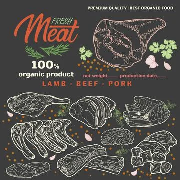 Raw meat in the template frame. Stock Illustration