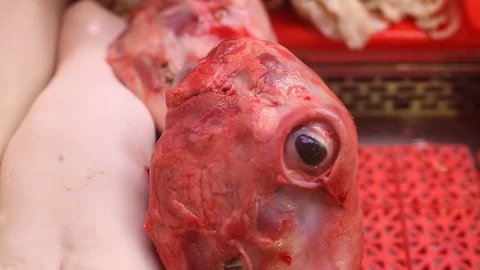 Raw meat / Ugly food Stock Footage