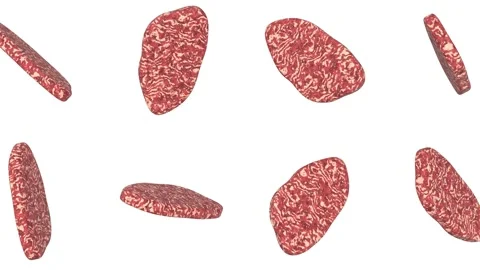 Raw Meats Falling on a Light Blue Background. Stylized Meat 3D Animation. 4K Stock Footage 310494376