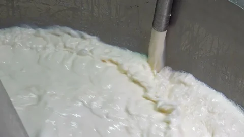 Raw Milk Pouring into Pasteurization Tank - Zoom Out Stock Footage 123800833