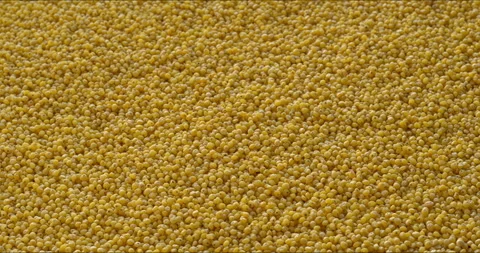 Raw millet groats as background texture. Camera slide. Stock Footage 327814689