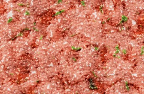 Raw minced meat texture with herbs and spices close up. Stock Illustration