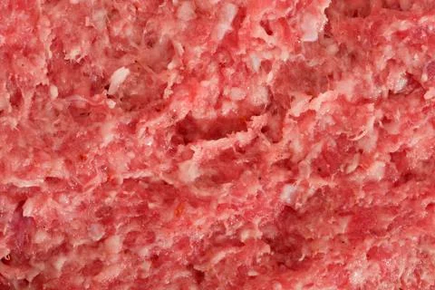 Raw minced Stock Photos