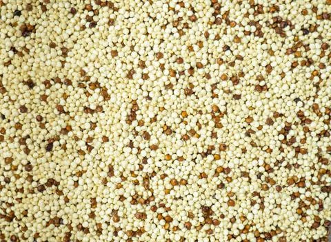 Raw mixed quinoa for background and text. Healthy and diet superfood. Stock Photos