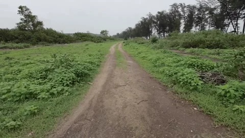 Raw Mud Path Way In Coastal Area in Monsoon Stock Footage 280561718