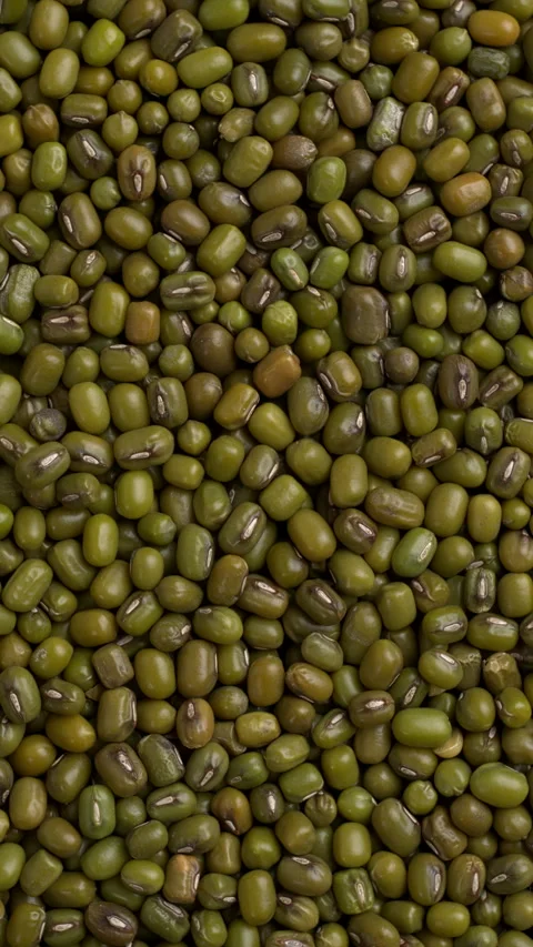 Raw mung beans as an background texture. Vertical video. Stock Footage 295370891