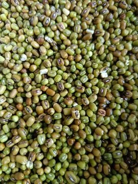 Raw mung beans Stock Photos