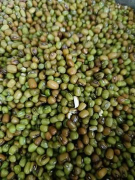 Raw mung beans Stock Photos