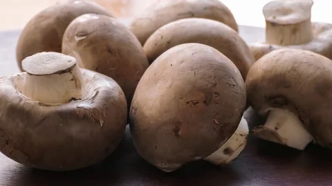 Raw mushrooms , close-up Stock Footage 69767387