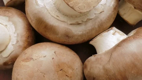 Raw mushrooms , close-up Stock Footage 69767923
