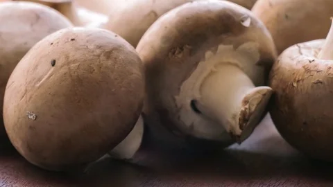 Raw mushrooms Stock Footage 69768114