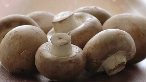 Raw mushrooms Stock Footage 69768491