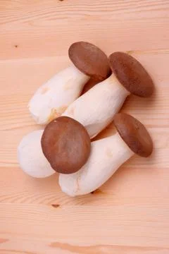 Raw mushrooms Stock Photos