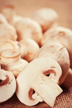 Raw mushrooms Stock Photos