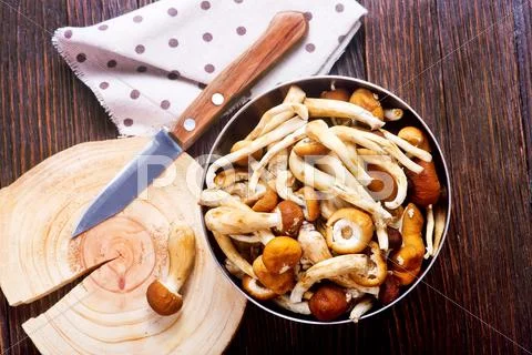 Raw mushrooms Stock Photos