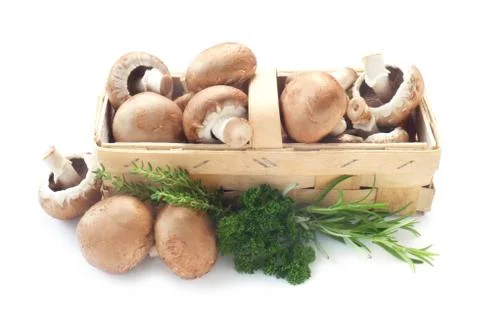 Raw Mushrooms Stock Photos