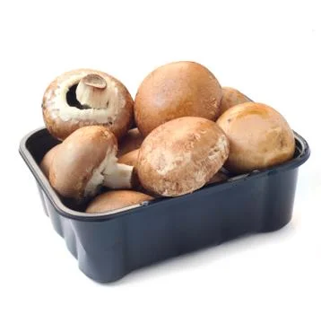 Raw Mushrooms Stock Photos