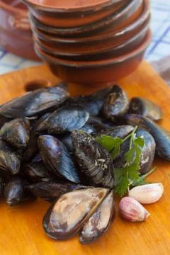 Raw mussels Stock Photos
