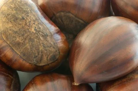 Raw natural macro of chestnuts in studio Stock Photos