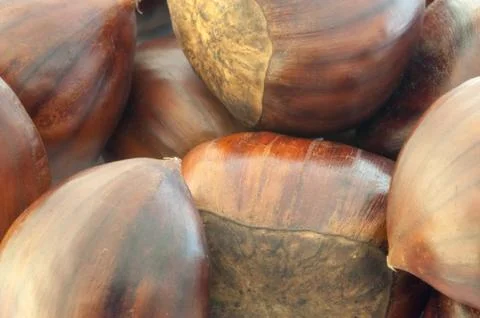 Raw natural macro of chestnuts in studio Foto stock