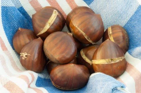 Raw natural macro of cooked chestnuts in studio Stock Photos