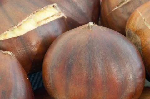 Raw natural macro of cooked chestnuts in studio Stock Photos