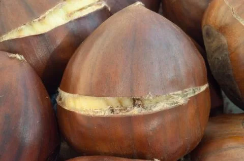 Raw natural macro of cooked chestnuts in studio Stock Photos