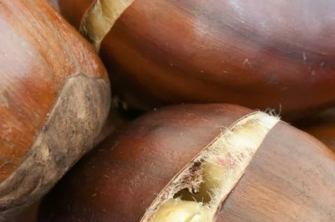 Raw natural macro of cooked chestnuts in studio Stock Photos