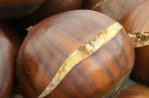 Raw natural macro of cooked chestnuts in studio Stock Photos