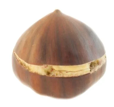 Raw natural macro of cooked chestnuts in studio Foto stock