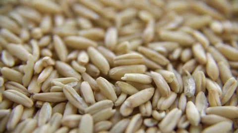 Raw oat grains rotating in macro shot for breakfast Stock-Footage 333830008
