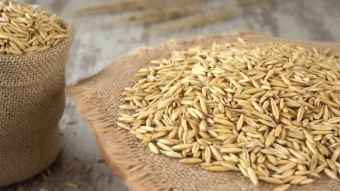 Raw oat seeds on burlap rotating. Seamless loopable. Prores 4K Stock Footage 69213221
