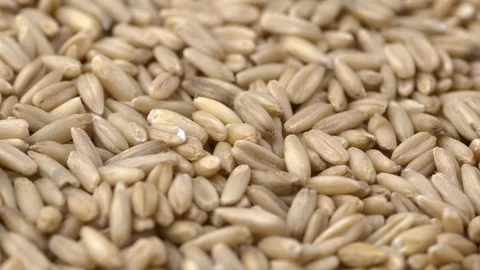 Raw oats low angle shallow depth of field rotating Stock Footage 86061042
