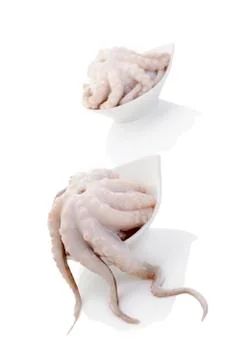 Raw octopus background. Stock Photos