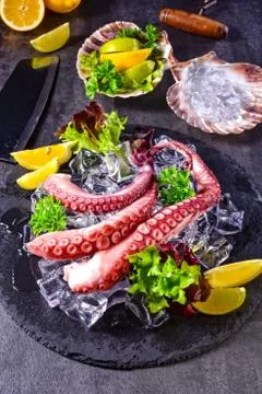 Raw octopus on the ice Free Stock Photos