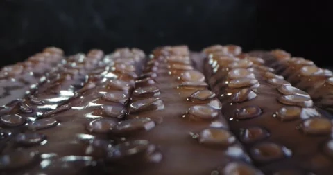 Raw octopus with large tentacles on the table, camera movement. Fresh seafood Stock Footage 148765846