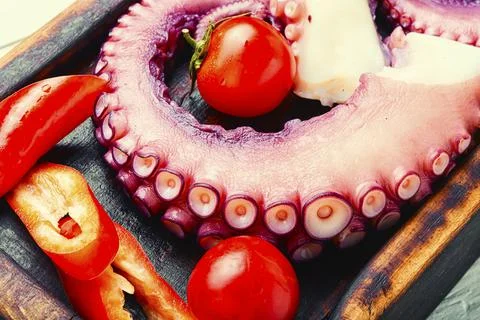 Raw octopus tentacle Stock Photos
