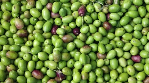 Raw olives close up Stock Footage 209325333