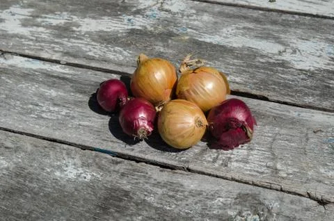 Raw onions on a rustic table Stock Photos