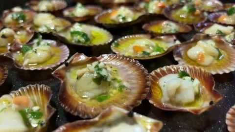 Raw open scallops Stock Footage 221100769
