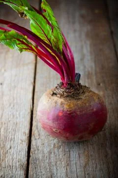 Raw Organic Beet Stock Photos