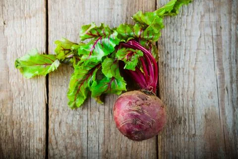Raw Organic Beet Stock Photos