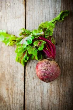 Raw Organic Beet Stock Photos